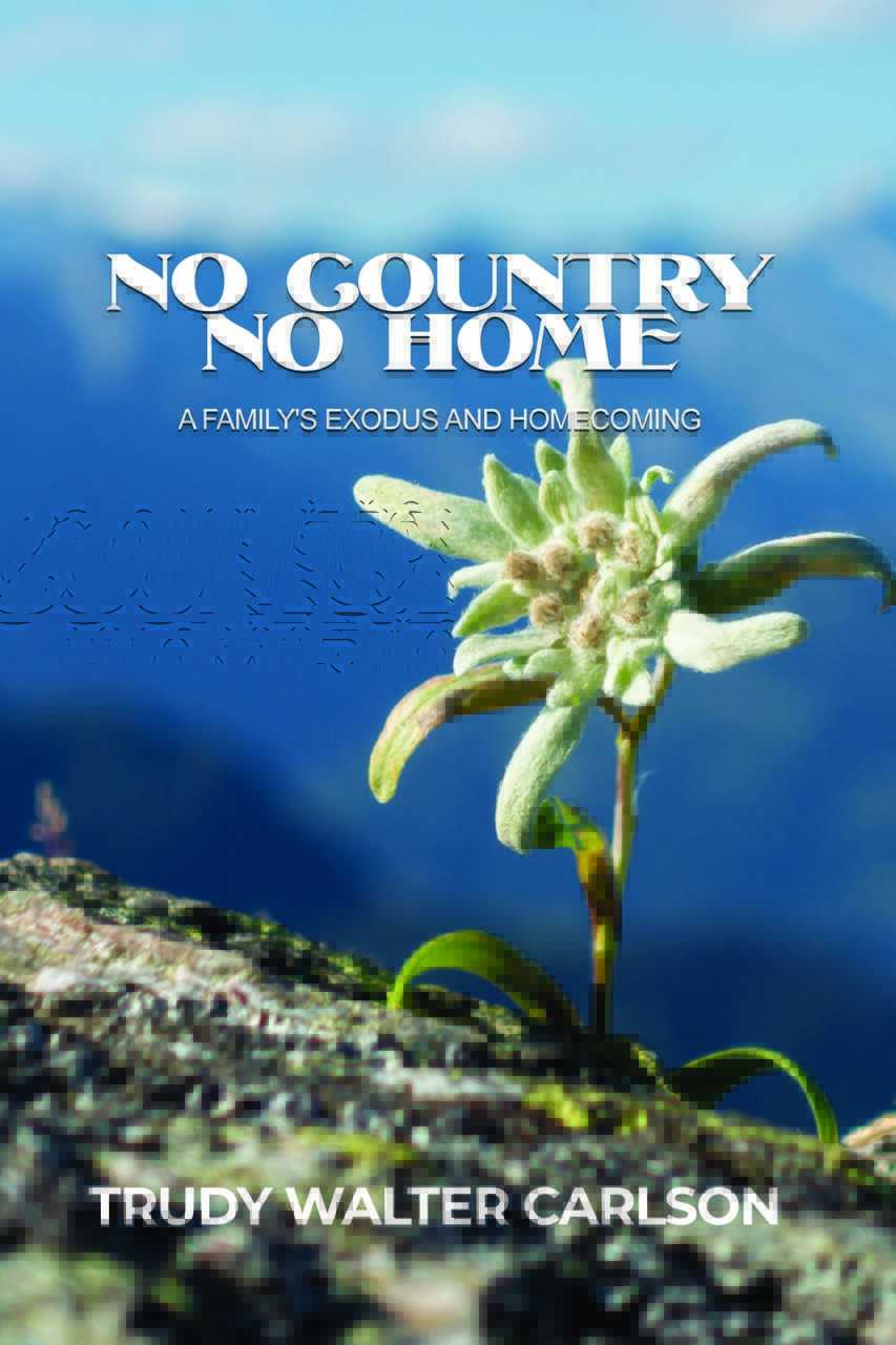 No Country No Home