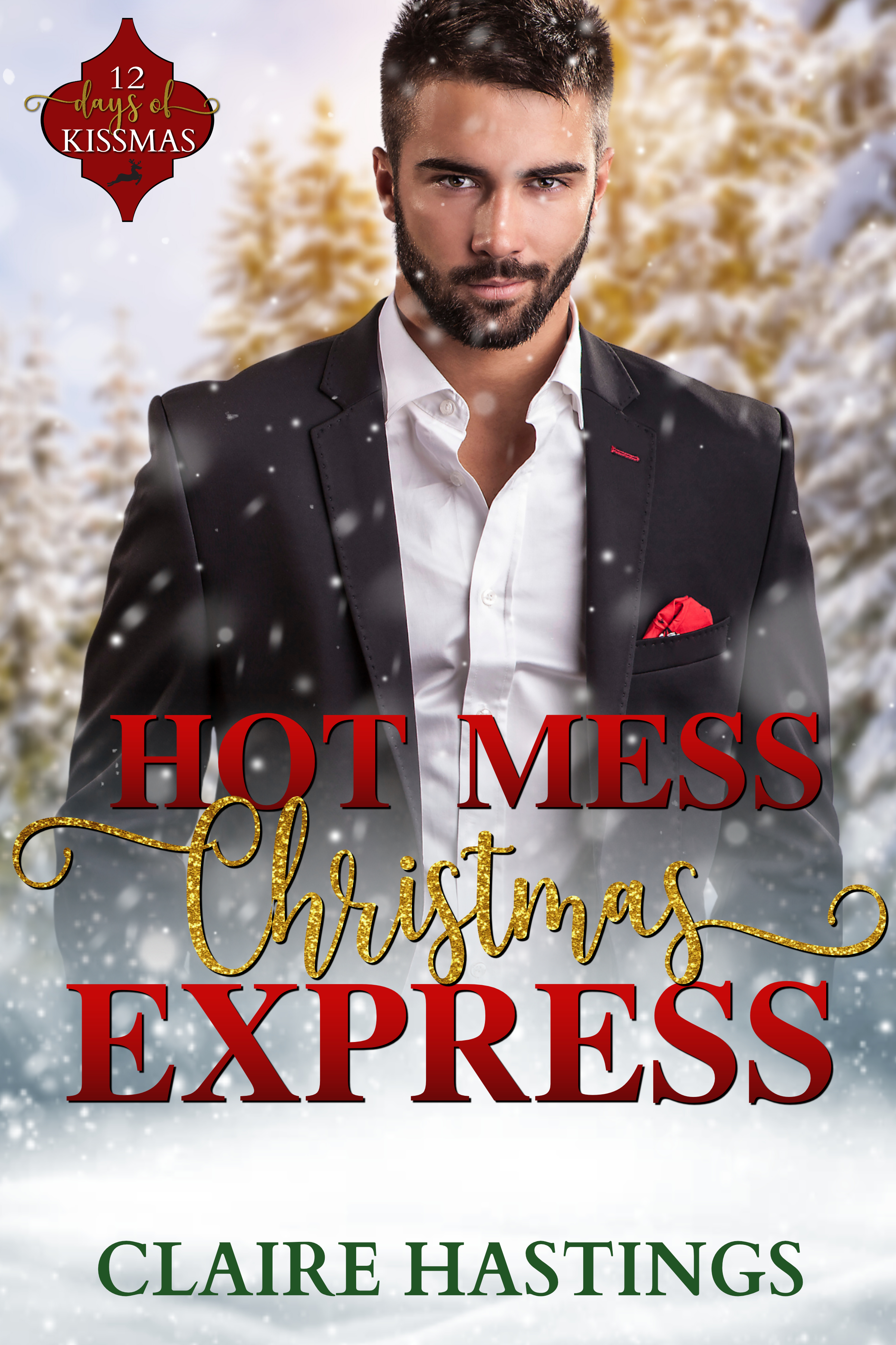 Hot Mess Christmas Express (Kindle Edition)