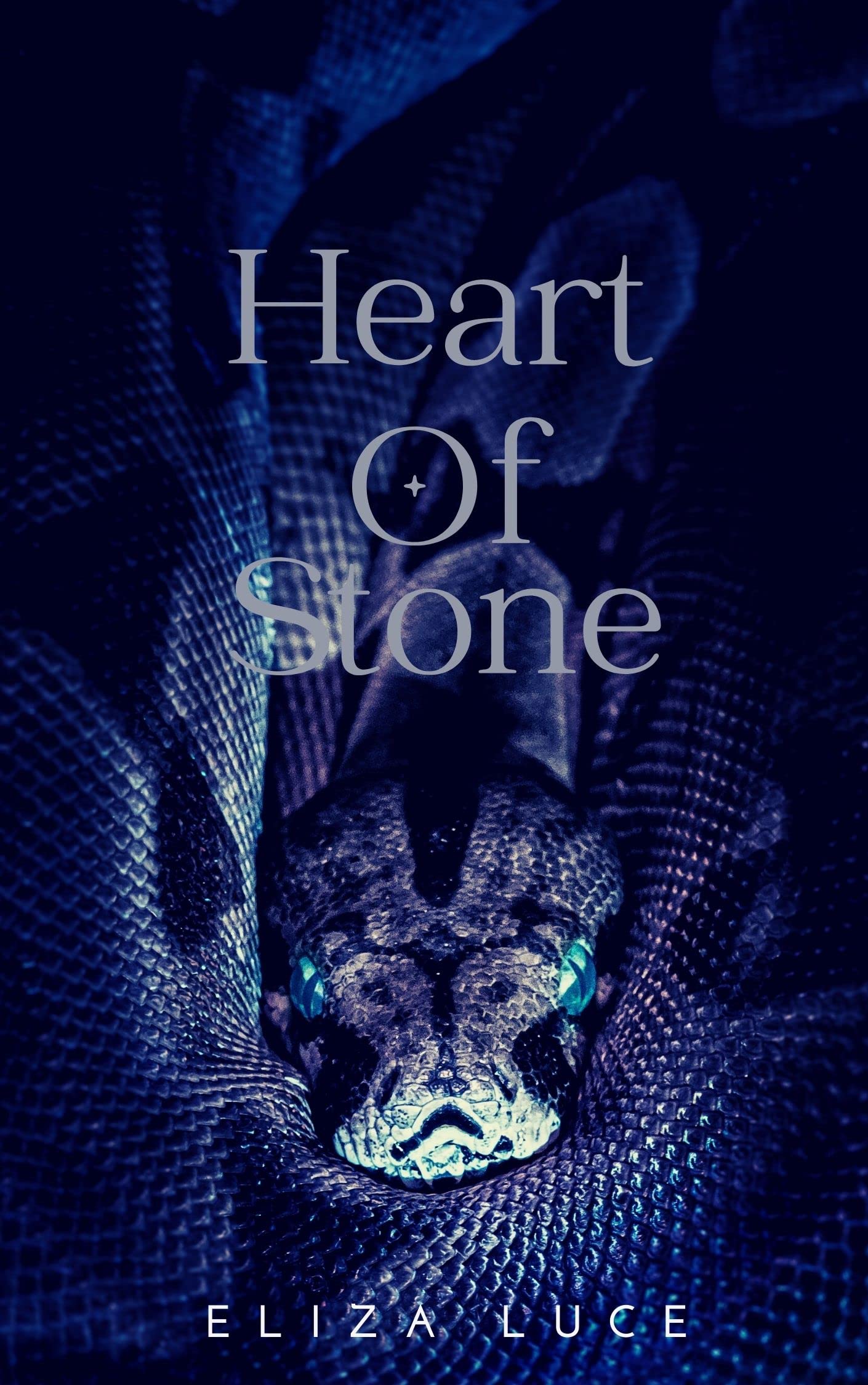 Heart of Stone (Kindle Edition)