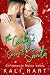 The Cowboy's Secret Santa (...