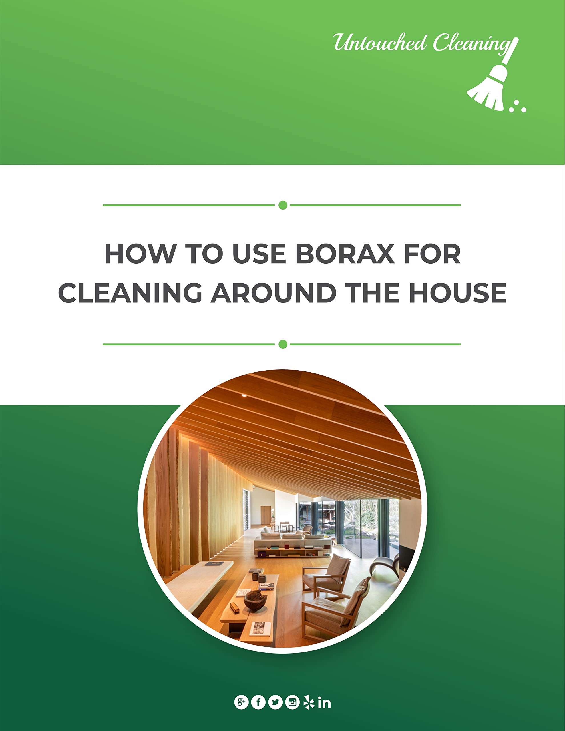 USING BORAX FOR CLEANING AROUND THE HOUSE (Kindle Edition)