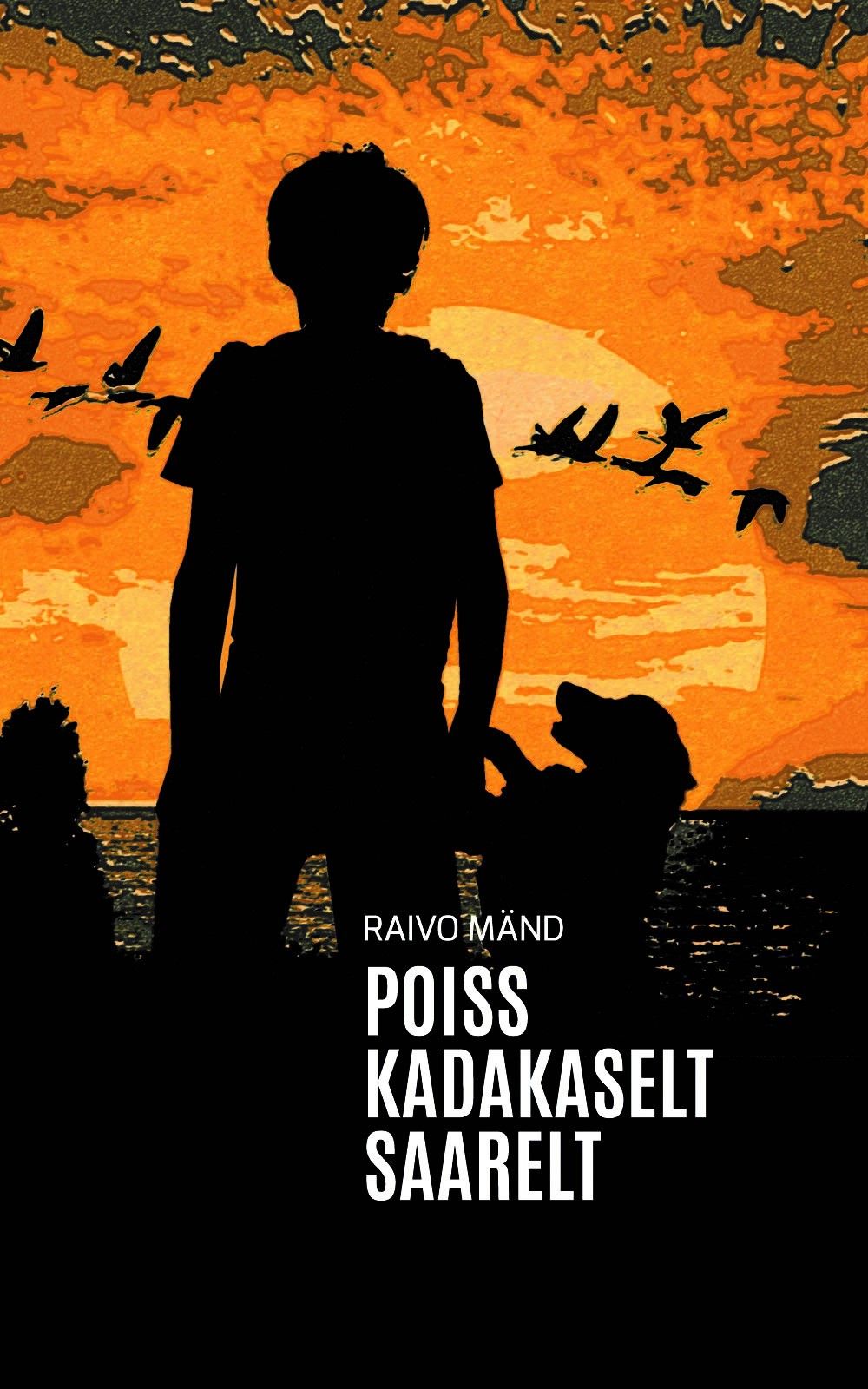 Poiss kadakaselt saarelt