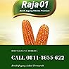 PALING UNGGUL, Call 0811-3655-622, Benih Jagung Super Genjah Soebandi Raja