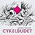 Cykelbudet