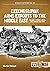Czechoslovak Arms Exports to the Middle East: Volume 1: Origins, Israel and Jordan, 1948-1989 (Middle East @ War, #39)
