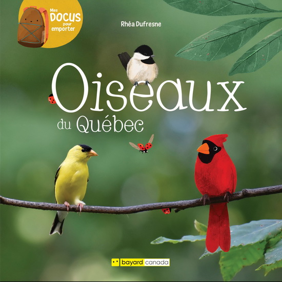 Oiseaux du Québec (Paperback)