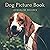 Dog Picture Book by Jacqueline Melgren