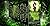 Witch Ways: 20 Full-Length ...