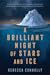 A Brilliant Night of Stars and Ice by Rebecca Connelly