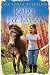 Katys tre hästar (Katy's Ponies #4)