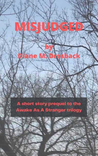 Misjudged (Awake as a Stranger #0.5)