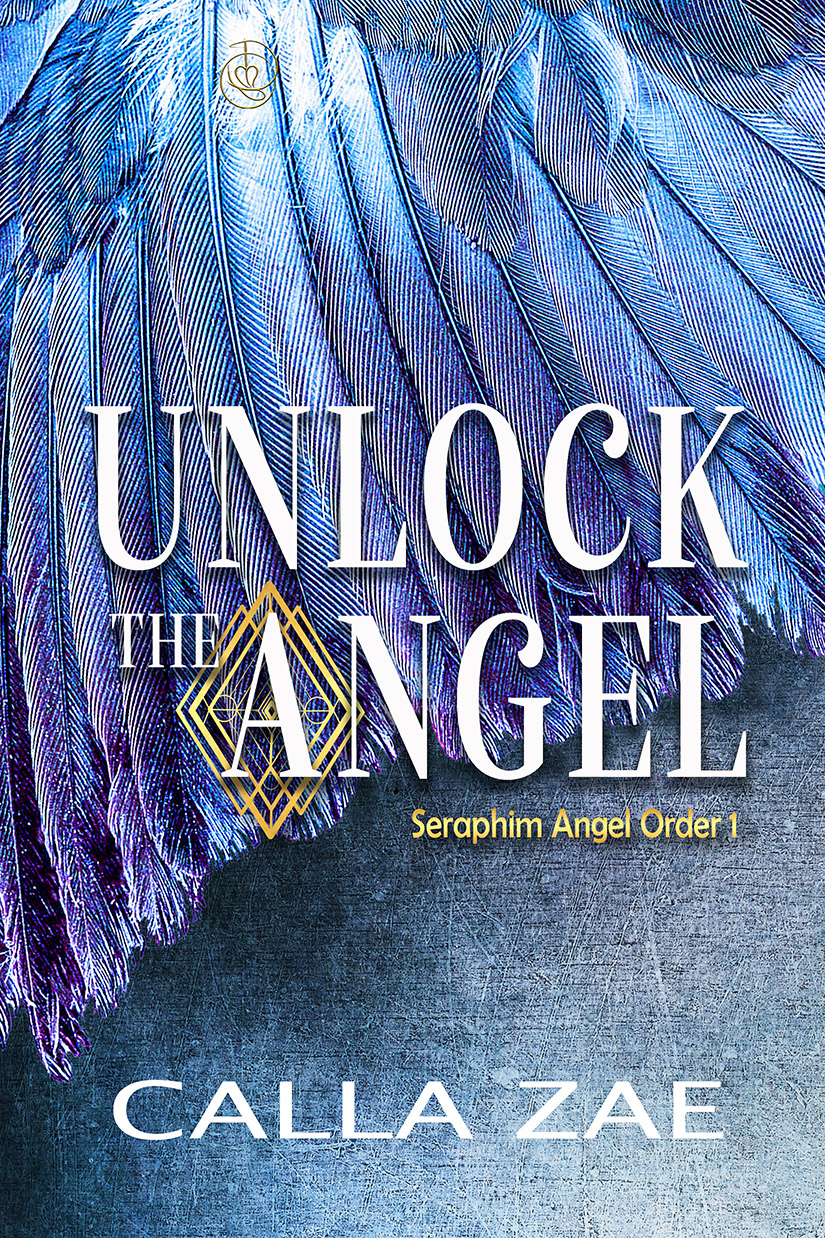Unlock the Angel (Seraphim Angel Order, #1)