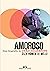 Amoroso: Uma biografia de João Gilberto (Portuguese Edition)