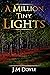 A Million Tiny Lights: A Novel