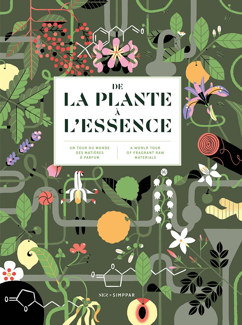 De la plante à l'essence - Un tour du monde des matières à parfum (Hardcover)
