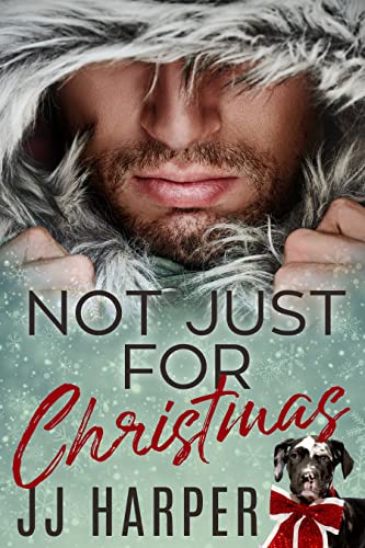 Not Just For Christmas (ebook)