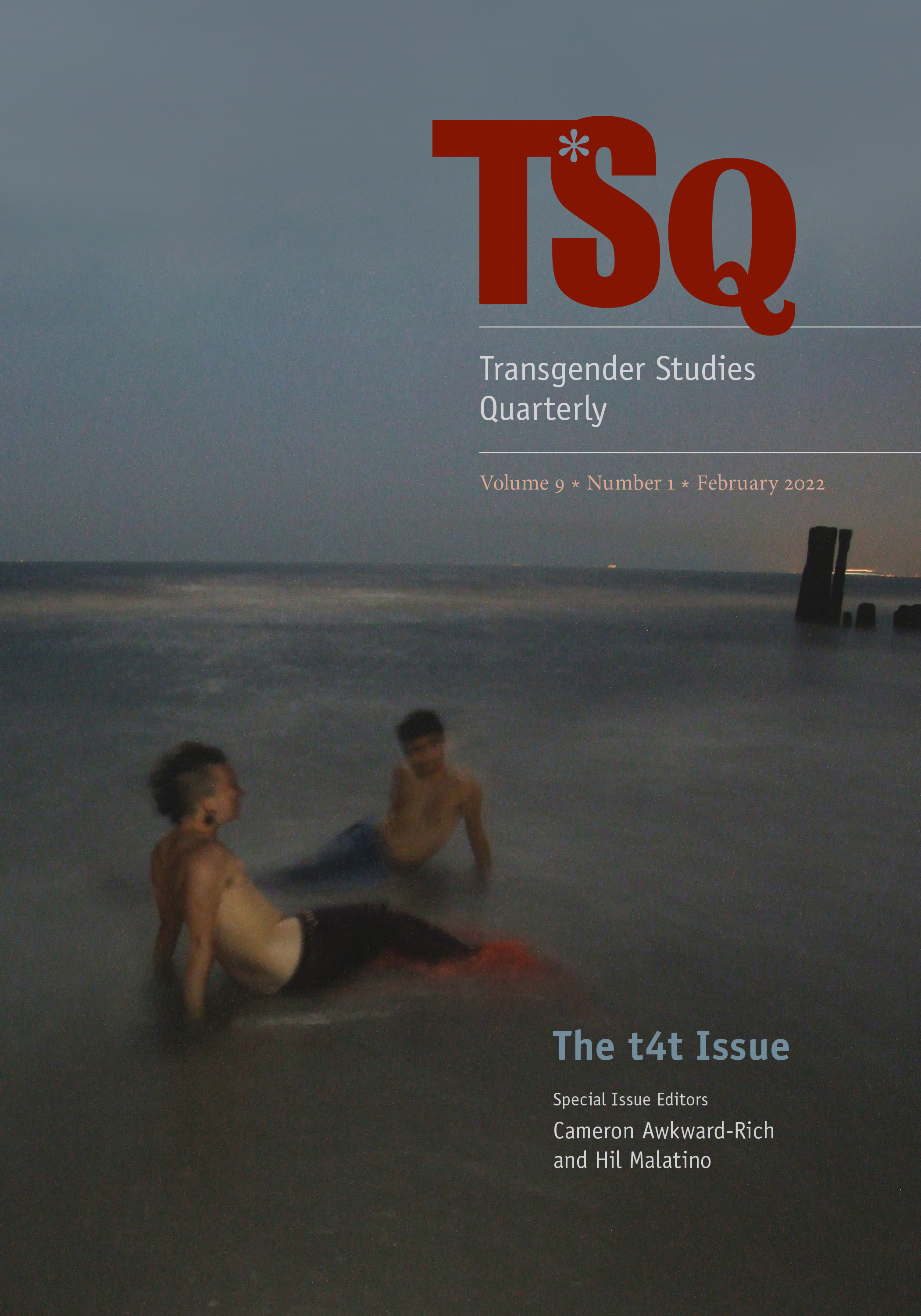 The t4t Issue (Transgender Studies Quarterly, 9)