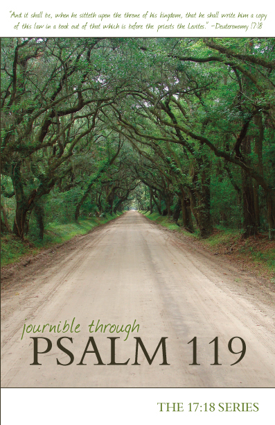 Journible Through Psalm 119 (The 17:18 Series - Journibles)