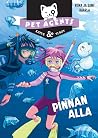 Pinnan alla