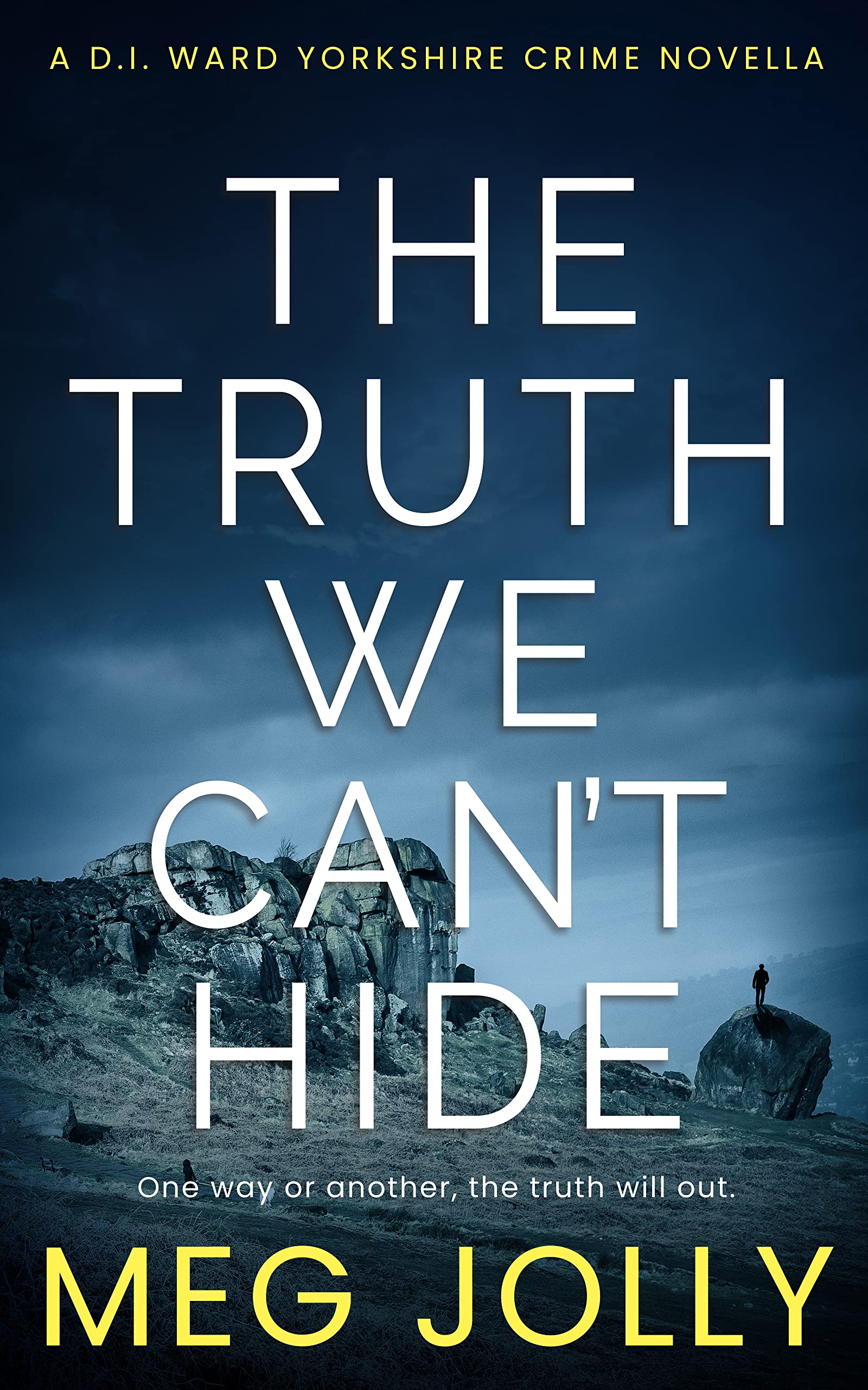 The Truth We Can't Hide (DI Daniel Ward, #0.5)