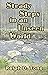 Steady Steps in an Unseen World by Ralph Tone
