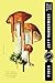 Finch (Ambergris, #3)