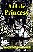 A Little Princess by Frances Hodgson Burnett