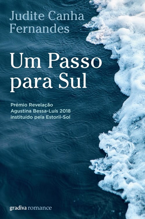 Um Passo para Sul (Paperback)