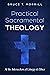 Practical Sacramental Theology by Bruce T. Morrill
