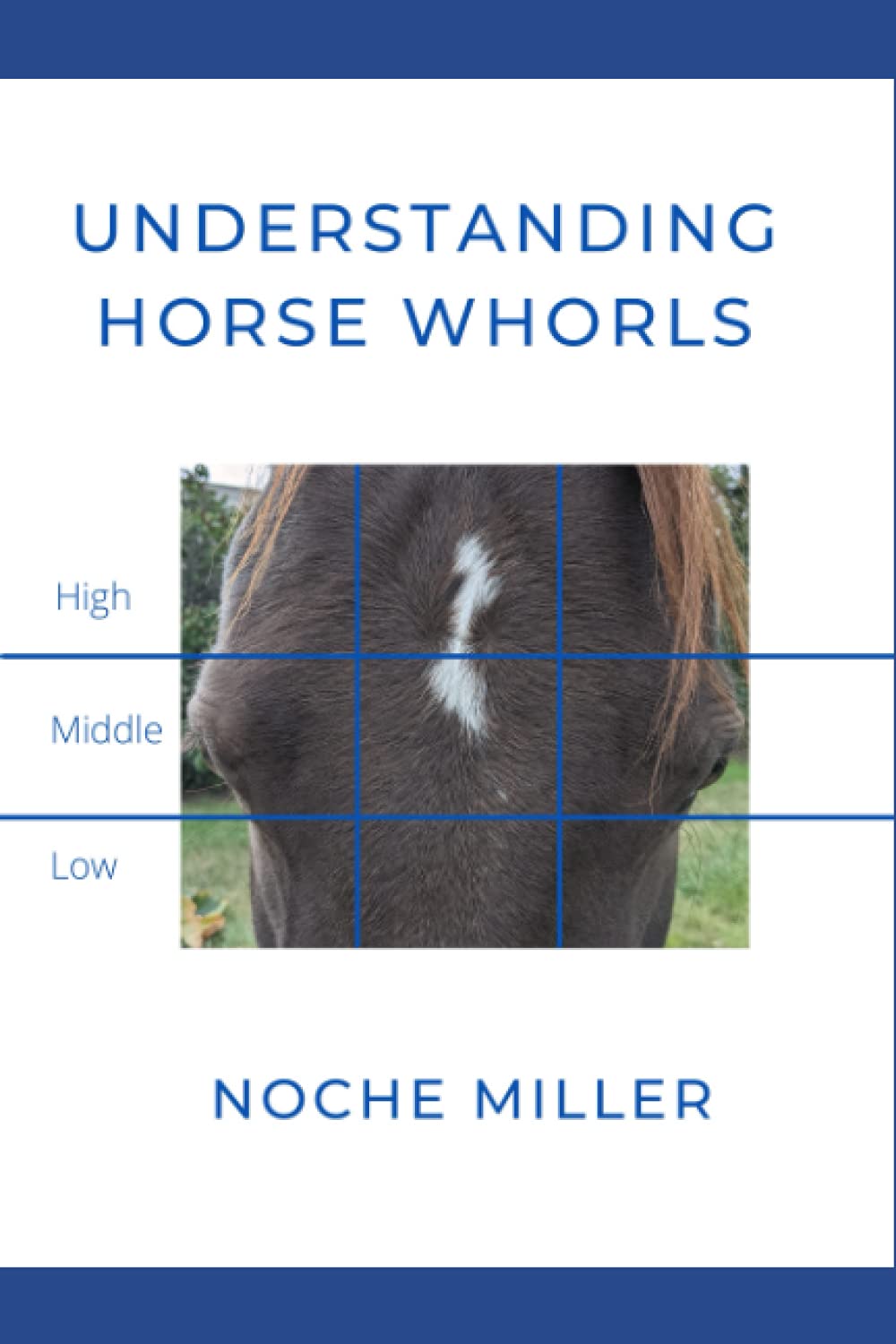 Understanding Horse Whorls (Paperback)