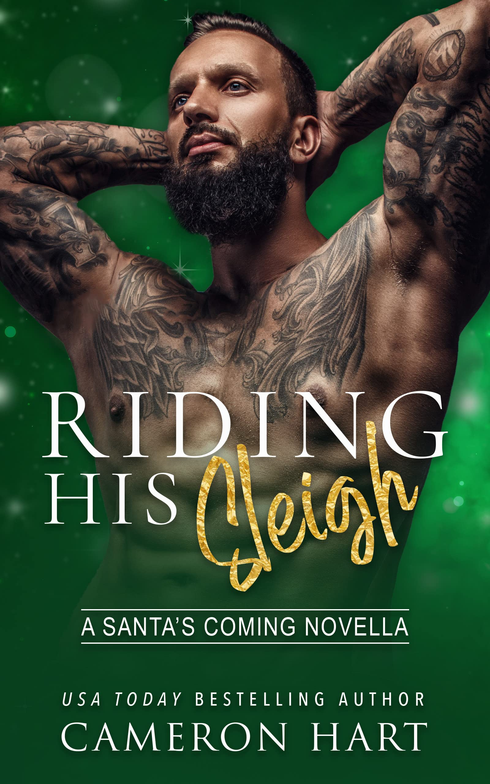 Riding His Sleigh (Kindle Edition)