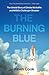 The Burning Blue: The Untold Story of Christa McAuliffe and NASA's Challenger Disaster
