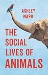 The Social Lives ...