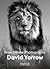 David Yarrow by David Yarrow