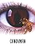 Candyman: A Screenplay