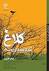 کلاغ آخر از همه می‌رسد by Italo Calvino