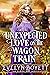 Sudden Love On The Wagon Train