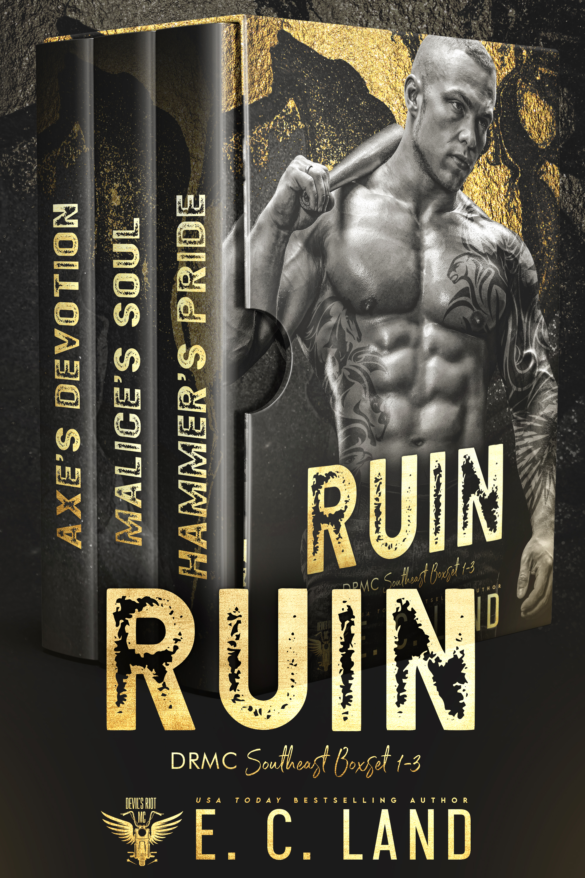 Ruin (Devil's Riot MC: Southeast #1-3)