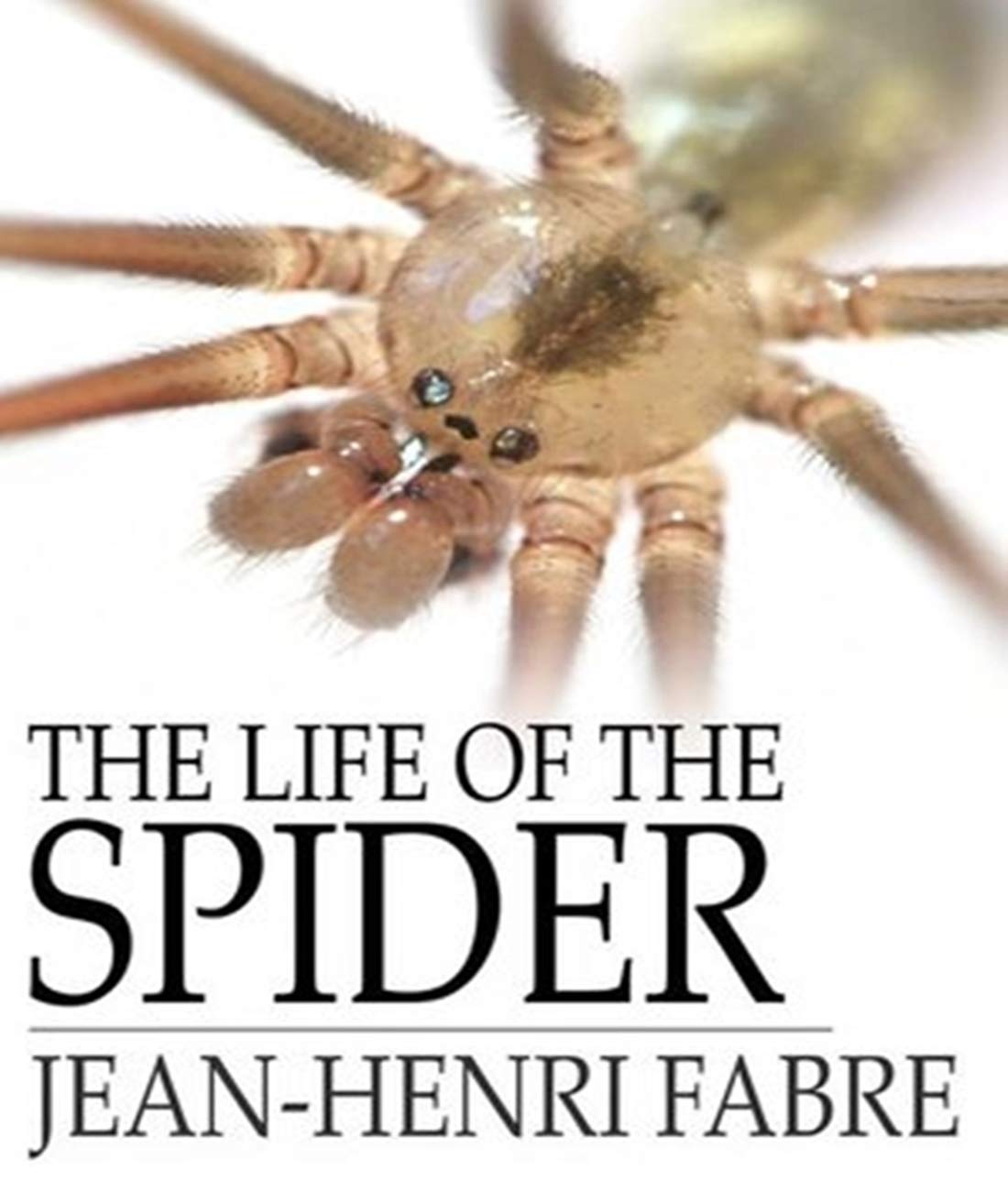 Life of the Spider - J. Henri Fabre (ANNOTATED) Full Version of Great Classics Work