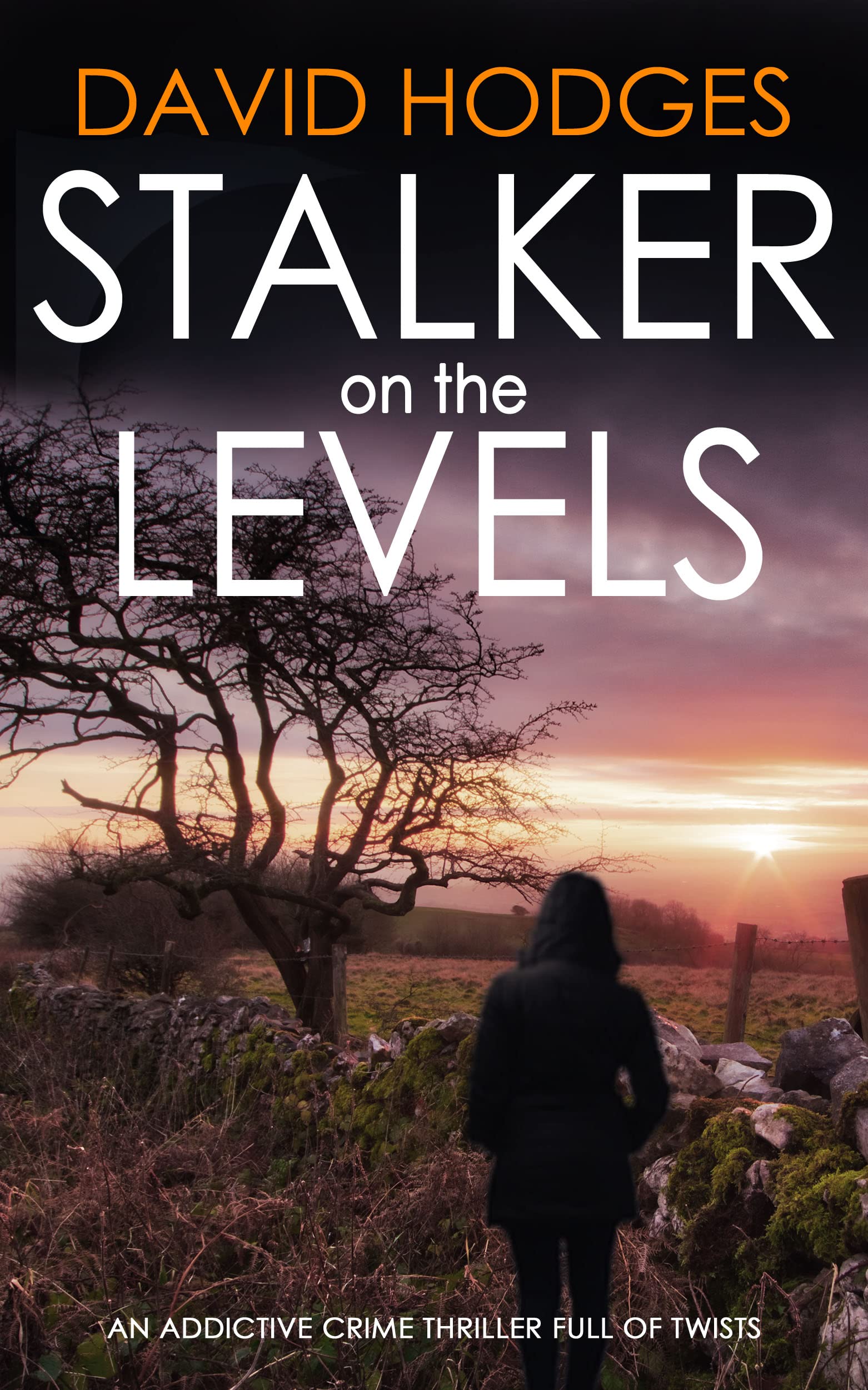Stalker On The Levels (Detective Kate Hamblin Mystery, #9)