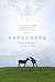 Sanctuary: The True Story of an Irish Village, a Man Who Lost His Way, and the Rescue Donkeys That Led Him Home