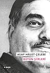 Bütün Şiirleri