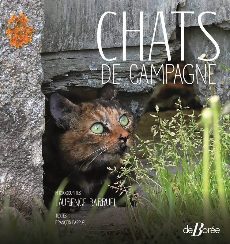 Chats de campagne (Hardcover)