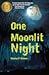 One Moonlit Night