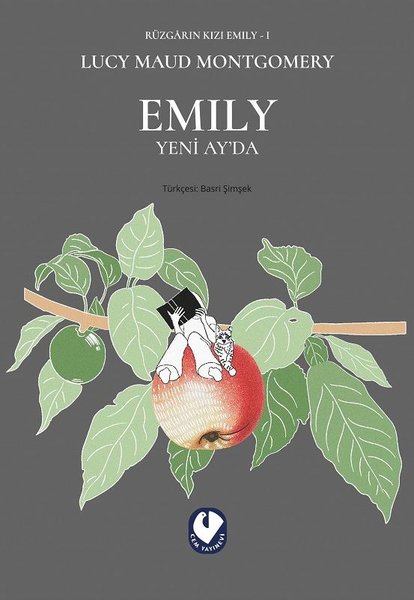 Emily Yeni Ay'da (Rüzgarın Kızı Emily, #1)