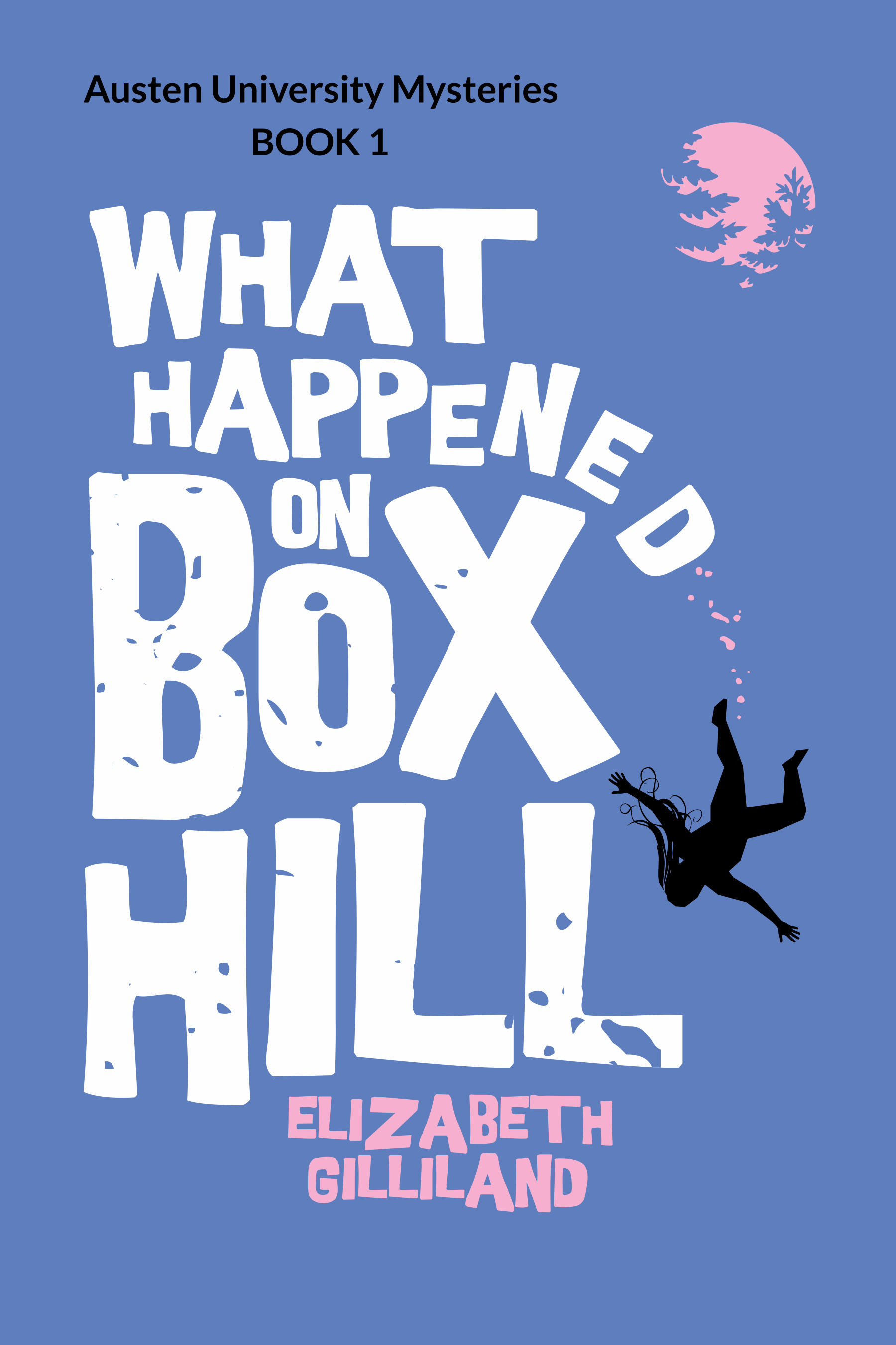 What Happened on Box Hill (Kindle Edition)