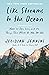 Like Streams to the Ocean: Notes on Ego, Love, and the Things That Make Us Who We Are: Essaysc