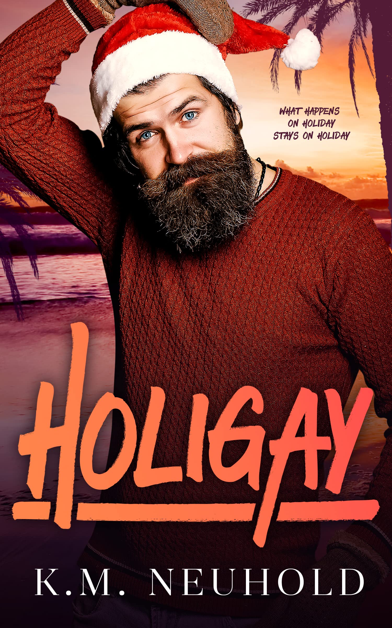 Holigay (Kindle Edition)