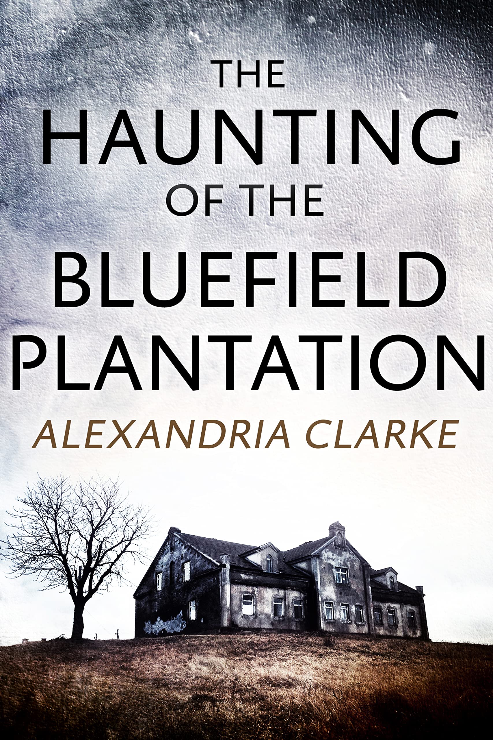 The Haunting of Bluefield Plantation (A Riveting Haunted House Mystery, #33)