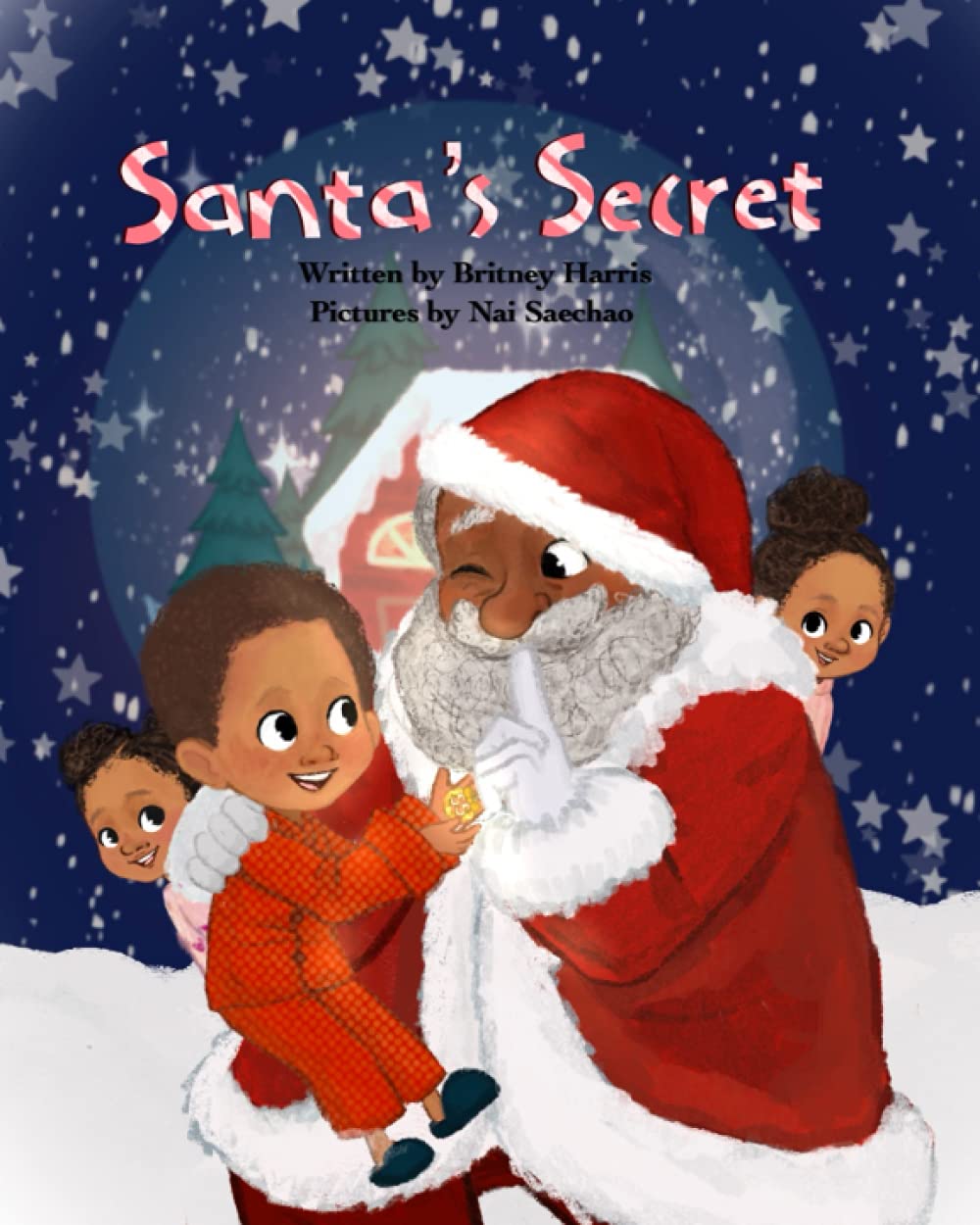 Santa's Secret (Paperback)